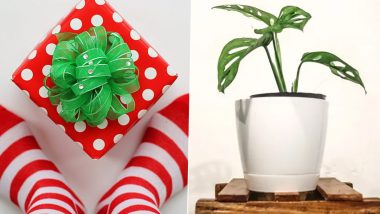 Secret Santa Gifts for Christmas 2022: From Funky Socks to Indoor Plants; 5 Budget-Friendly Presents That Will Save You This Festive Season