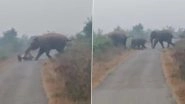 Viral Video: Wild Elephant Goes on Rampage in Maharashtra&rsquo;s Bhandara, Hurls Bike on Road (Watch Video)