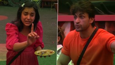 Bigg Boss 16: Shalin Bhanot Calls Sumbul Touqeer Weak; the Duo Engages in a War of Words (Watch Video)