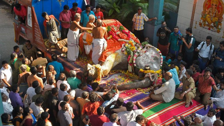 Elephant Lakshmi of Sri Manakula Vinayagar Temple Dies of Cardiac Arrest in Puducherry; Crowd Gathers To Pay Last Respects to The Majestic Creature (Watch Video)