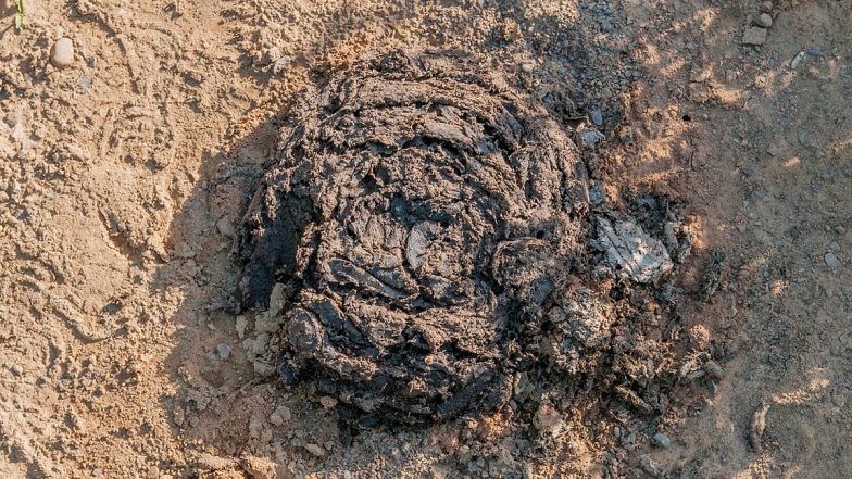 CM Bhupesh Baghel-Led Chhattisgarh Government Uses Paints Manufactured From ‘Cow Dung’ for Its Buildings