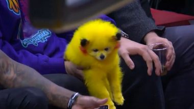 Pikachu at NBA Game? Video Clip Captures Basketball Fan’s Dog Dyed in Yellow To Resemble the Famous Pokemon; Internet Doesn’t Approve