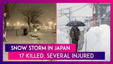 Snow Storm In Japan: Heavy Snowfall Kills At Least 17 People, Leave Dozens Injured