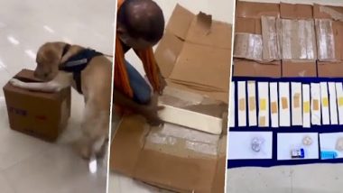 Sniffer Dog Orio Detects Drugs in Baggage of Ugandan Woman, Helps Custom Official Arrest Drug Smuggler at Chennai Airport (Watch Video)