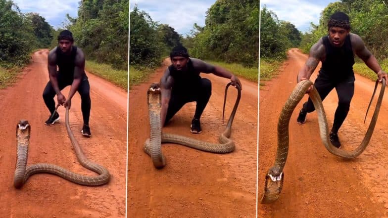 Scary encounter 🐍 #cobra #snake #india #danger #humor #fypシ #fyp