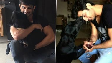 Sushant Singh Rajput’s Pet Dog Fudge Dies Days Before Actor’s Birth Anniversary; Sister Priyanka Singh Shares Tragic News on Twitter