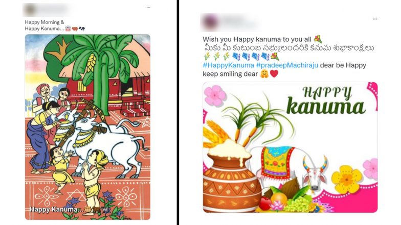 Happy Kanuma 2023 Wishes: Netizens Share Greetings, Quotes, Images and HD Wallpapers on Mattu Pongal To Celebrate the Cattle