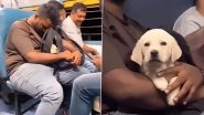Adorable Puppy Captured Sleeping Inside a Backpack on a Local Train; Video of the Labrador&rsquo;s Activities on Board Goes Viral