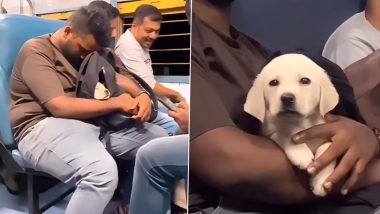 Adorable Puppy Captured Sleeping Inside a Backpack on a Local Train; Video of the Labrador’s Activities on Board Goes Viral