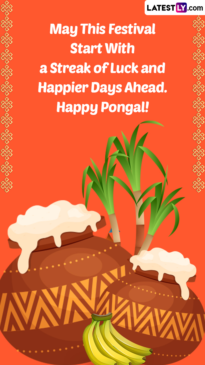 Happy Pongal 2023 Wishes, HD Images, Greetings and Messages ...