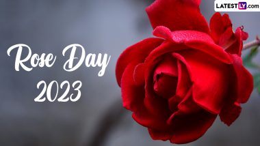 Rose Day 2023 Date in Valentine Week: Know Significance and How To Celebrate the Special Day Marking the Beginning of the Week of Love