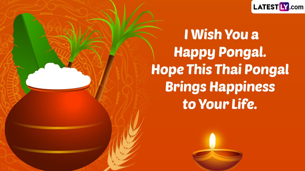 Happy Pongal Images & Thai Pongal 2023 HD Wallpapers for Free ...