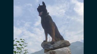 Indian Army Dog ZOOM, Who Died During Anti-Terror Operation in Anantnag, Posthumously Awarded Mention-in-Despatches Gallantry Award on Eve of Republic Day 2023