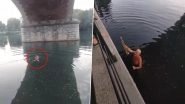 Artist Plays Saxophone Underwater While Swimming Beneath a Bridge in Italy; Netizens Can't Stop Gushing Over His Unbelievable Skills in Viral Video
