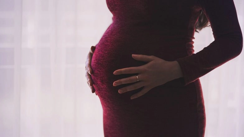 Heatstroke Kills Pregnant Woman in Maharashtra; Expecting Mother Dies of Sunstroke After Walking for 7 Km in Summer Heat in Palghar