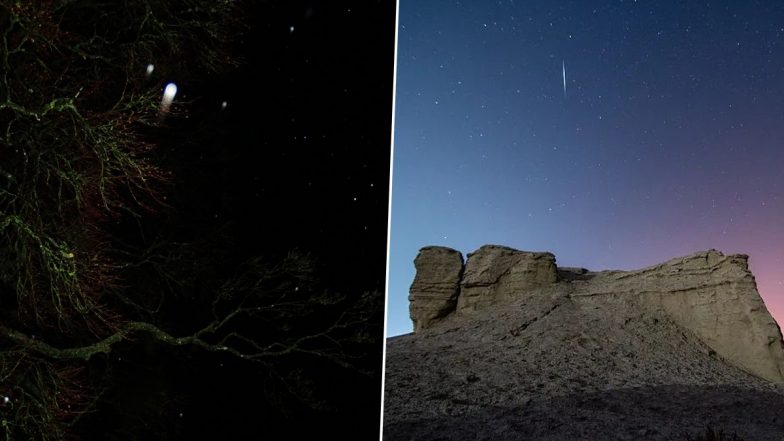 Quadrantids Meteor Shower 2023 Photos and Twitter Reactions: Netizens Share Their Experience of Witnessing the Astronomical Event on Social Media