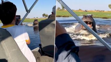 Angry Hippo Leaps Forward to Chase a Tourist Speedboat on a Lake; Terrifying Video of the Giant Mammal Goes Viral 