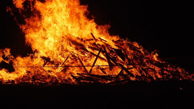 Rajasthan: Twin Brothers Die Under Similar Circumstances, Cremated on Same Pyre in Barmer