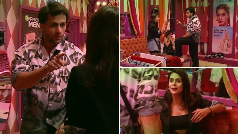 Bigg Boss 16: Major Fight Breaks Out After Shalin Bhanot Pushes Priyanka Chahar