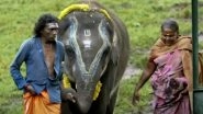 Oscars 2023 Nomination: Kartiki Gonsalves's 'The Elephant Whisperer' Makes It To The Best Documentary Short Film List Category