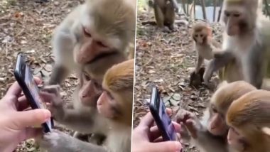 Kiren Rijiju Shares Funny Video Of Monkeys Glued To Smartphone Like Humans, Says 'Digital Literacy Awareness Reaching Unbelievable Level'
