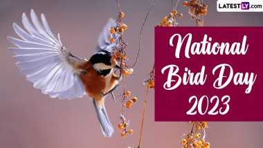 National Bird Day 2023 in the US Date: Know History and Significance of the Day Raising Awareness About the Safety and Security of Birds