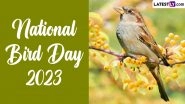 National Bird Day 2023 in the United States: From Cedar Hill State Park to Sapsucker Woods Sanctuary, 5 Bird Sanctuaries To Visit for Spotting Different Species