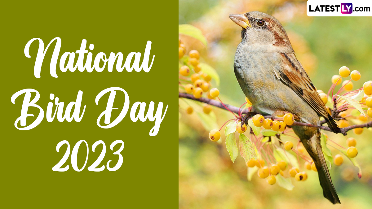 2 National Bird Day 2023 