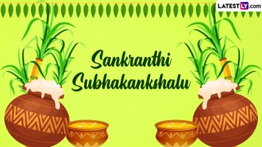 Happy Uttarayan 2023 Images and Sankranthi Subhakankshalu Wishes: Share WhatsApp Messages, Greetings and SMS on Makar Sankranti