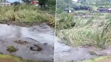 Giant Sinkhole in Kenya Swallows Massive Chunk of Land, Grass and Everything Coming in Its Path; Old Video is Viral Now!
