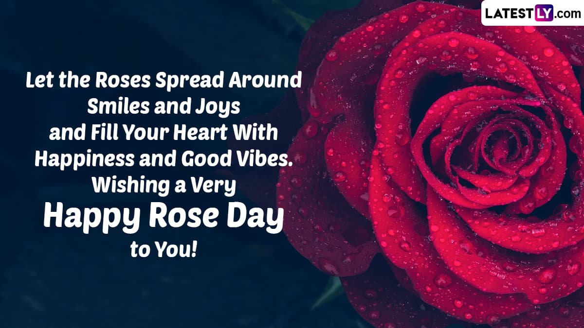 Happy Rose Day 2023 Wishes, HD Images & Greetings: Send Quotes ...