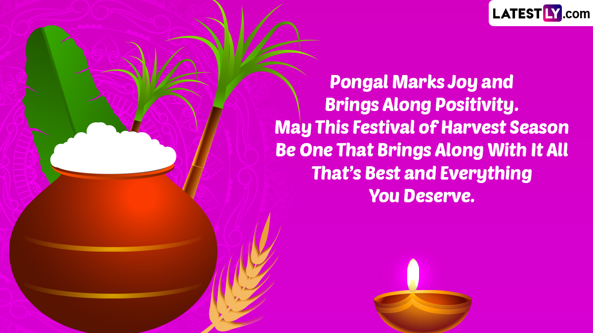 Happy Pongal Images & Thai Pongal 2023 HD Wallpapers for Free Download  Online: Send Iniya Pongal Valthukkal Messages, Greetings and SMS to Loved  Ones | 🙏🏻 LatestLY
