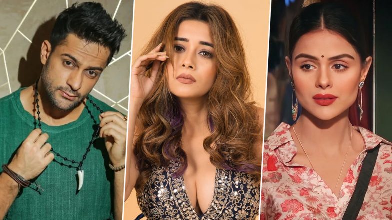 Bigg Boss 16: Shalin Bhanot Says Tina Datta and Priyanka Choudhary Make Him Out To ‘Appear Evil’