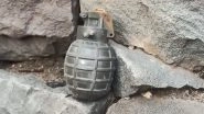 Jammu and Kashmir: Grenade Found on Outer Wall of Former Surankote MLA Choudhary Muhammad Akram&rsquo;s House in Poonch (See Pics)
