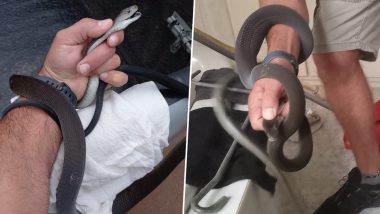 Deadly Black Mamba Found Coiled Up Behind Toilet; See Scary Pics of The Snake Discovered By Man in South Africa