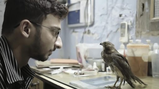 Oscars 2023 Nomination:  Shaunak Sen's 'All That Breathes' Under Documentary Feature Film Category List
