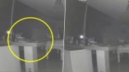 'Ghost of Dead Family Member' Caught on Viral CCTV Footage? Couple Claims Mysterious Pale Figure Tried Walking Their Dog in Bone-Chilling Video