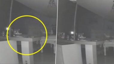 'Ghost of Dead Family Member' Caught on Viral CCTV Footage? Couple Claims Mysterious Pale Figure Tried Walking Their Dog in Bone-Chilling Video