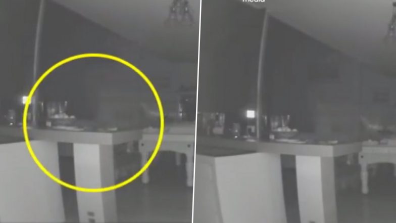 'Ghost of Dead Family Member' Caught on Viral CCTV Footage? Couple Claims Mysterious Pale Figure Tried Walking Their Dog in Bone-Chilling Video