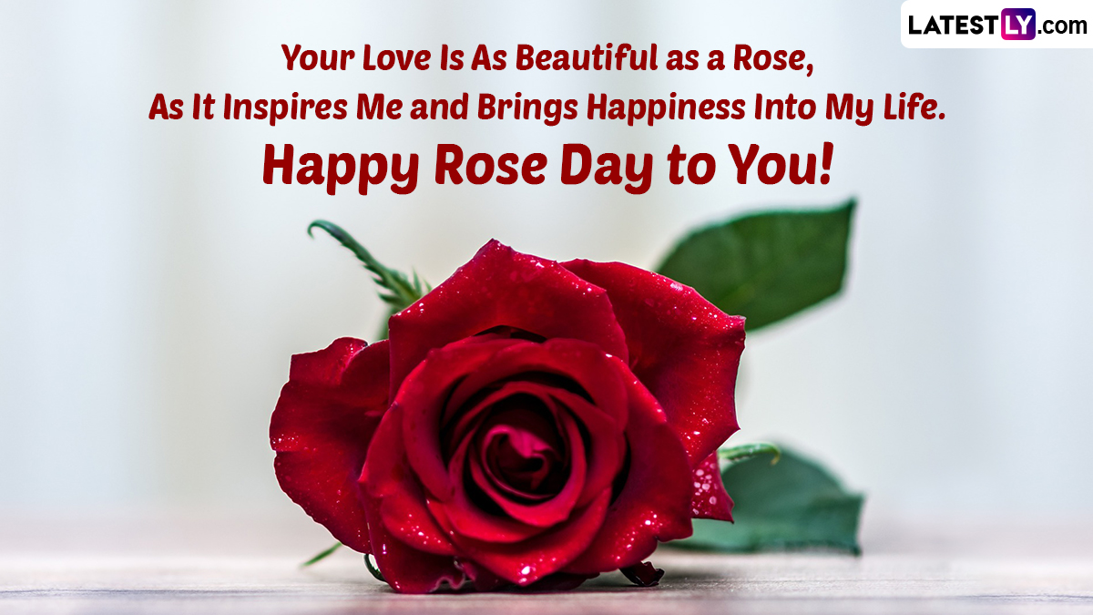 Happy Rose Day 2023 Sexy & Romantic Greetings: Send Hot Messages, GIF ...