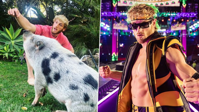 Logan Paul's Pet Pig Rescued After Being Allegedly Abandoned by the Influencer in California