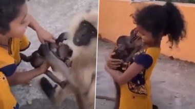 Little Girl Tries to Get Hold of Baby Monkey Clinging To Its Mother; Old Video Goes Viral Again, Leaving Netizens Irked