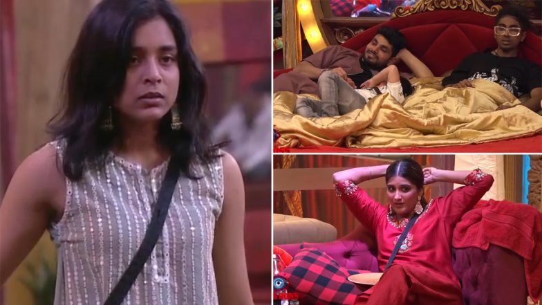 Bigg Boss 16: Sumbul Touqeer Loses Her State of Mind; Sajid Khan Compares the Actress to a Radio (Watch Video)