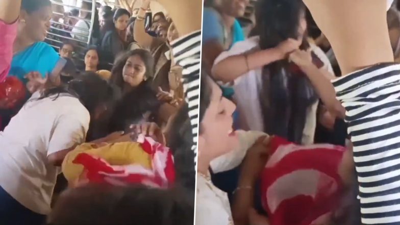 Viral Video: Women Passengers Slap, Punch and Pull Each Other’s Hair Inside Local Train