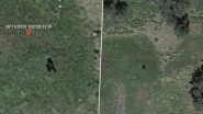 Bigfoot Spotted? Viral Reddit Post Claims To Have Discovered Shadow of The Mythical Beast on Google Earth; See Pics