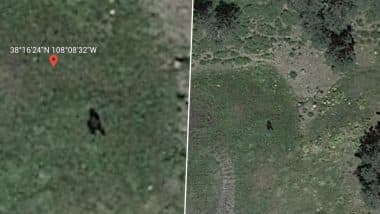 Bigfoot Spotted? Viral Reddit Post Claims To Have Discovered Shadow of The Mythical Beast on Google Earth; See Pics