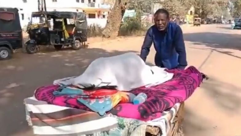 Madhya Pradesh: Elderly Man Carries Ill Wife to Hospital on Handcart Due to Lack of Ambulance in Rewa (Watch Video)