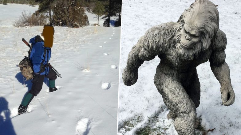 Bigfoot Tracks? Hunters Claim To Have Spotted Giant Monster Footprints 8 Feet Apart in Snowy Woodland of New Mexico; See Pic