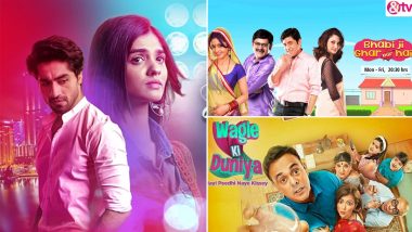 New Year 2023: From Yeh Rishta Kya Kehlata Hai to Wagle Ki Duniya, 5 Promising TV Shows To Watch Out for Their Storylines