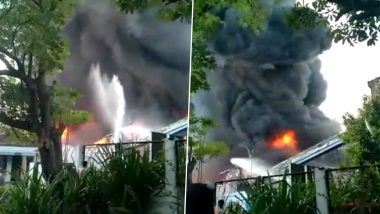 Goa Fire: Massive Blaze Erupts at Pilerne Industrial Estate (Watch Videos)